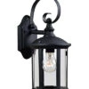 1-Light Leo Outdoor Lantern Home