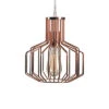 Home 1-Light Swag Pendant