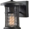 Carlson 1-Light Small Wall Lantern Home