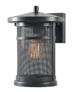 Carlson 1-Light LRG Wall Lantern Home