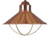 1-Light Dowd Pendant Home